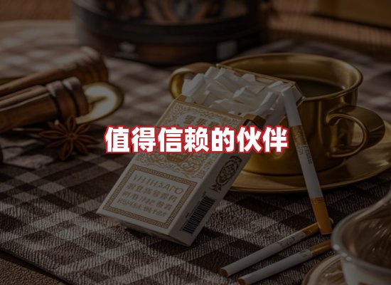 专业团队
